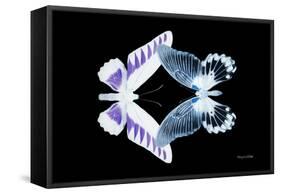 Miss Butterfly Duo Brookagenor - X-Ray Black Edition-Philippe Hugonnard-Framed Stretched Canvas