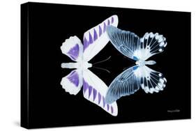 Miss Butterfly Duo Brookagenor - X-Ray Black Edition-Philippe Hugonnard-Stretched Canvas