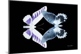 Miss Butterfly Duo Brookagenor - X-Ray Black Edition-Philippe Hugonnard-Mounted Photographic Print