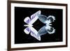 Miss Butterfly Duo Brookagenor - X-Ray Black Edition-Philippe Hugonnard-Framed Photographic Print