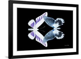 Miss Butterfly Duo Brookagenor - X-Ray Black Edition-Philippe Hugonnard-Framed Photographic Print