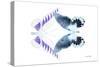 Miss Butterfly Duo Brookagenor - X-Ray White Edition-Philippe Hugonnard-Stretched Canvas