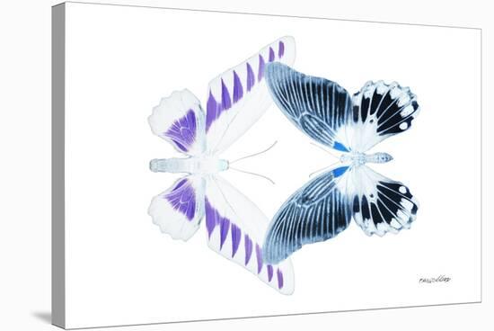 Miss Butterfly Duo Brookagenor - X-Ray White Edition-Philippe Hugonnard-Stretched Canvas