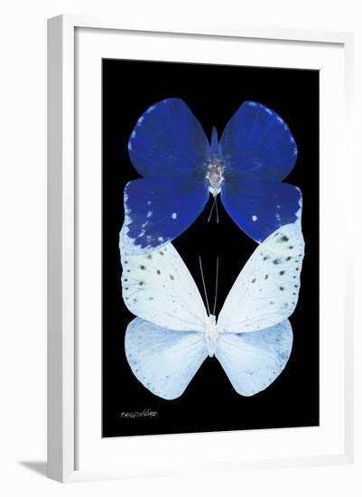 Miss Butterfly Duo Catoploea II - X-Ray Black Edition-Philippe Hugonnard-Framed Photographic Print