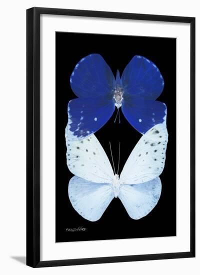 Miss Butterfly Duo Catoploea II - X-Ray Black Edition-Philippe Hugonnard-Framed Photographic Print