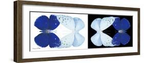 Miss Butterfly Duo Catoploea Pan - X-Ray B&W Edition-Philippe Hugonnard-Framed Photographic Print