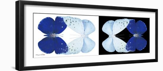 Miss Butterfly Duo Catoploea Pan - X-Ray B&W Edition-Philippe Hugonnard-Framed Photographic Print