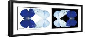 Miss Butterfly Duo Catoploea Pan - X-Ray B&W Edition-Philippe Hugonnard-Framed Photographic Print