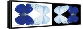 Miss Butterfly Duo Catoploea Pan - X-Ray B&W Edition-Philippe Hugonnard-Framed Stretched Canvas