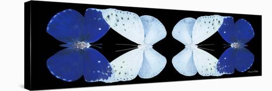 Miss Butterfly Duo Catoploea Pan - X-Ray Black Edition II-Philippe Hugonnard-Stretched Canvas