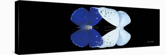 Miss Butterfly Duo Catoploea Pan - X-Ray Black Edition-Philippe Hugonnard-Stretched Canvas