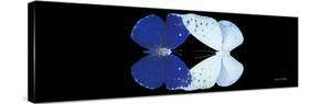 Miss Butterfly Duo Catoploea Pan - X-Ray Black Edition-Philippe Hugonnard-Stretched Canvas