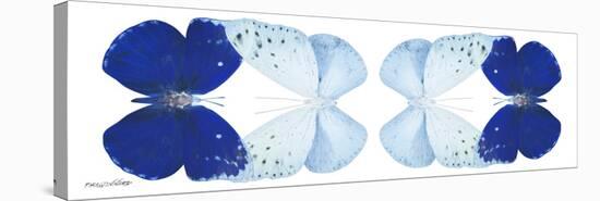 Miss Butterfly Duo Catoploea Pan - X-Ray White Edition II-Philippe Hugonnard-Stretched Canvas