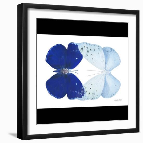 Miss Butterfly Duo Catoploea Sq - X-Ray B&W Edition-Philippe Hugonnard-Framed Photographic Print