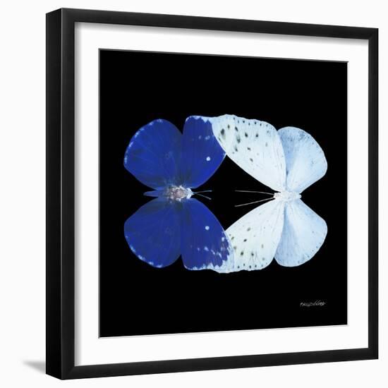 Miss Butterfly Duo Catoploea Sq - X-Ray Black Edition-Philippe Hugonnard-Framed Photographic Print