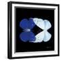 Miss Butterfly Duo Catoploea Sq - X-Ray Black Edition-Philippe Hugonnard-Framed Photographic Print