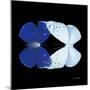 Miss Butterfly Duo Catoploea Sq - X-Ray Black Edition-Philippe Hugonnard-Mounted Photographic Print