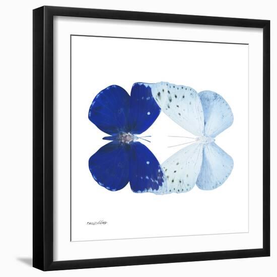 Miss Butterfly Duo Catoploea Sq - X-Ray White Edition-Philippe Hugonnard-Framed Photographic Print