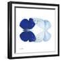 Miss Butterfly Duo Catoploea Sq - X-Ray White Edition-Philippe Hugonnard-Framed Photographic Print