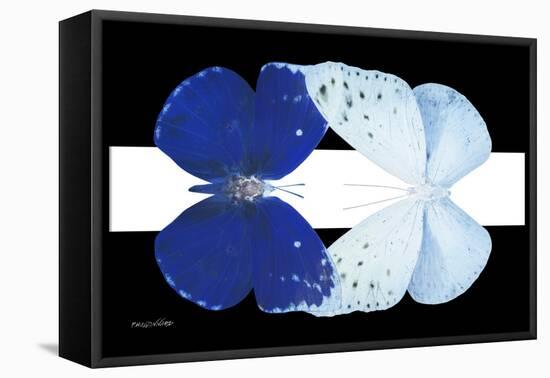 Miss Butterfly Duo Catoploea - X-Ray B&W Edition II-Philippe Hugonnard-Framed Stretched Canvas