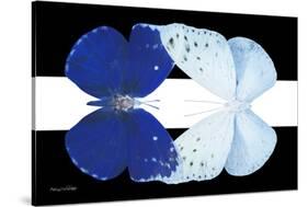 Miss Butterfly Duo Catoploea - X-Ray B&W Edition II-Philippe Hugonnard-Stretched Canvas