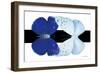 Miss Butterfly Duo Catoploea - X-Ray B&W Edition-Philippe Hugonnard-Framed Photographic Print