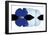 Miss Butterfly Duo Catoploea - X-Ray B&W Edition-Philippe Hugonnard-Framed Photographic Print