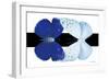 Miss Butterfly Duo Catoploea - X-Ray B&W Edition-Philippe Hugonnard-Framed Photographic Print