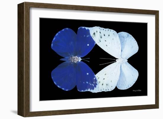 Miss Butterfly Duo Catoploea - X-Ray Black Edition-Philippe Hugonnard-Framed Photographic Print