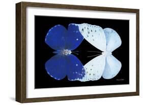 Miss Butterfly Duo Catoploea - X-Ray Black Edition-Philippe Hugonnard-Framed Photographic Print