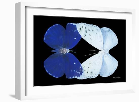 Miss Butterfly Duo Catoploea - X-Ray Black Edition-Philippe Hugonnard-Framed Photographic Print