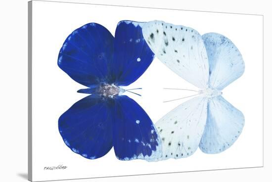 Miss Butterfly Duo Catoploea - X-Ray White Edition-Philippe Hugonnard-Stretched Canvas