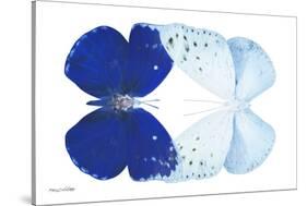 Miss Butterfly Duo Catoploea - X-Ray White Edition-Philippe Hugonnard-Stretched Canvas