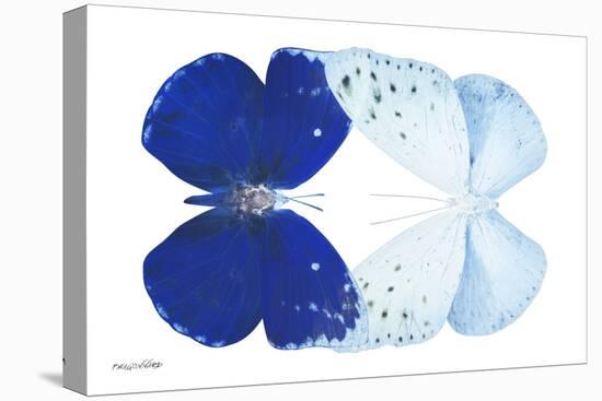 Miss Butterfly Duo Catoploea - X-Ray White Edition-Philippe Hugonnard-Stretched Canvas