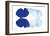 Miss Butterfly Duo Catoploea - X-Ray White Edition-Philippe Hugonnard-Framed Photographic Print