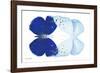 Miss Butterfly Duo Catoploea - X-Ray White Edition-Philippe Hugonnard-Framed Photographic Print