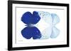 Miss Butterfly Duo Catoploea - X-Ray White Edition-Philippe Hugonnard-Framed Photographic Print