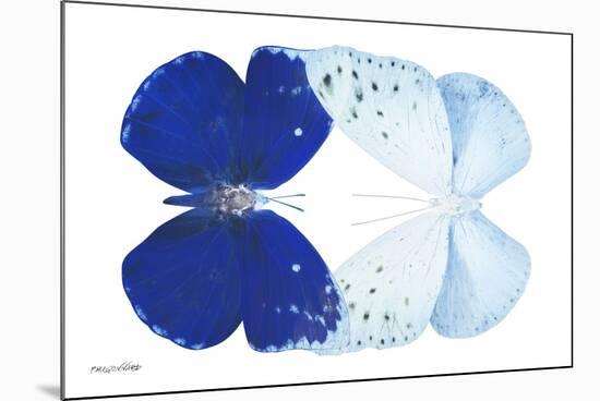 Miss Butterfly Duo Catoploea - X-Ray White Edition-Philippe Hugonnard-Mounted Photographic Print