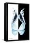 Miss Butterfly Duo Cloanthaea II - X-Ray B&W Edition-Philippe Hugonnard-Framed Stretched Canvas