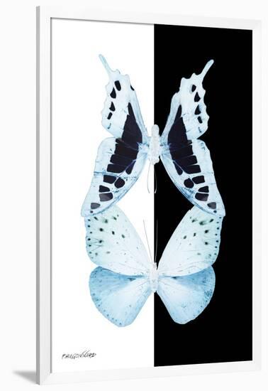 Miss Butterfly Duo Cloanthaea II - X-Ray B&W Edition-Philippe Hugonnard-Framed Photographic Print