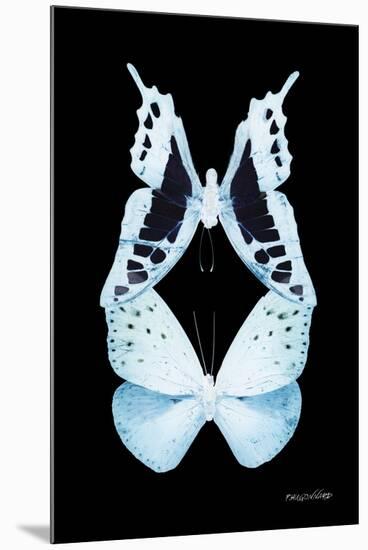 Miss Butterfly Duo Cloanthaea II - X-Ray Black Edition-Philippe Hugonnard-Mounted Premium Photographic Print