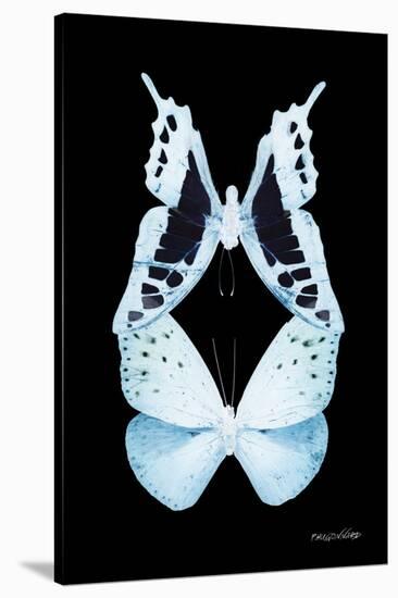 Miss Butterfly Duo Cloanthaea II - X-Ray Black Edition-Philippe Hugonnard-Stretched Canvas