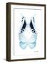 Miss Butterfly Duo Cloanthaea II - X-Ray White Edition-Philippe Hugonnard-Framed Photographic Print