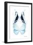 Miss Butterfly Duo Cloanthaea II - X-Ray White Edition-Philippe Hugonnard-Framed Photographic Print