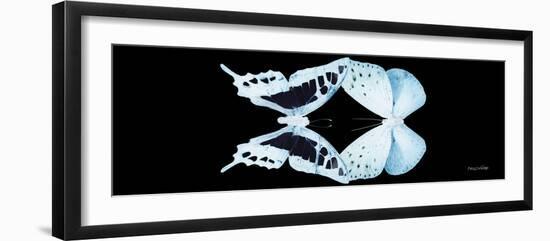 Miss Butterfly Duo Cloanthaea Pan - X-Ray Black Edition-Philippe Hugonnard-Framed Photographic Print