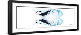 Miss Butterfly Duo Cloanthaea Pan - X-Ray White Edition-Philippe Hugonnard-Framed Photographic Print
