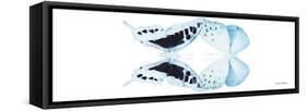 Miss Butterfly Duo Cloanthaea Pan - X-Ray White Edition-Philippe Hugonnard-Framed Stretched Canvas