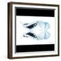 Miss Butterfly Duo Cloanthaea Sq - X-Ray B&W Edition-Philippe Hugonnard-Framed Photographic Print