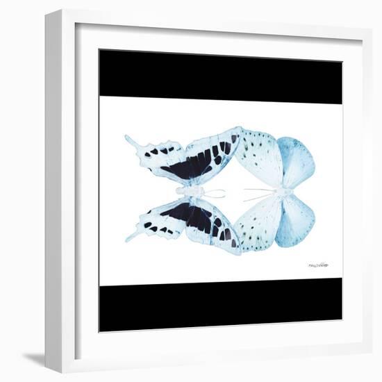 Miss Butterfly Duo Cloanthaea Sq - X-Ray B&W Edition-Philippe Hugonnard-Framed Photographic Print
