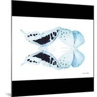 Miss Butterfly Duo Cloanthaea Sq - X-Ray B&W Edition-Philippe Hugonnard-Mounted Photographic Print